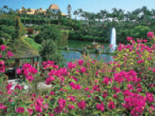 冲绳东南植物乐园