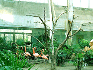 北旭野生动物园