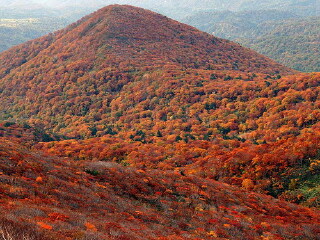 巴中莲花山