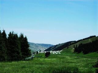 寿宁南山风景区