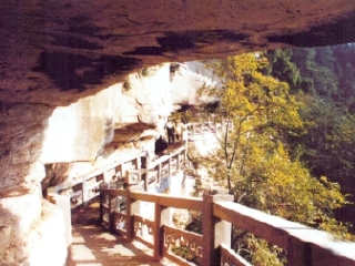 金城山森林公园