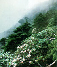 景点图片