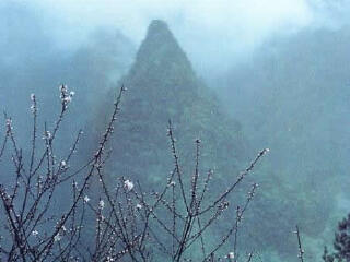 星斗山森林公园