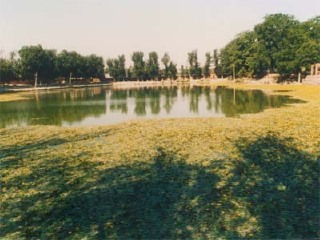 金中都太液池遗址