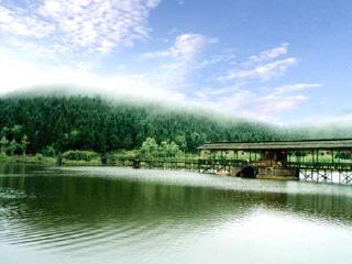 白马山森林公园