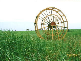 鼎翔生态旅游度假区