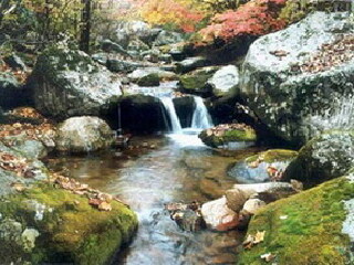 新宾猴石国家森林公园