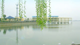 柳叶湖