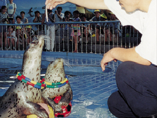 秦皇岛海洋水族馆