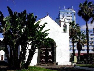 皇家赤足女修院