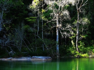 热带雨林生态园
