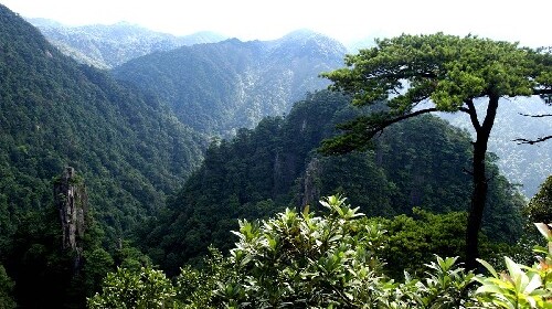 莽山国家森林公园-永兴银楼汽车2日游>天然大氧吧 宿莽山森林温泉