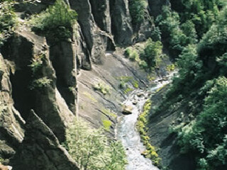 原始森林大峡谷