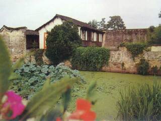 老屋阁及绿绕亭