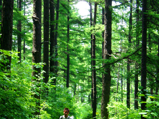 天生桥国家森林公园