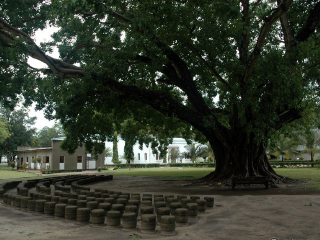 坦桑尼亚国家博物馆