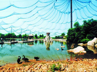 合肥野生动物园