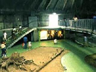 鱼津埋没林博物馆