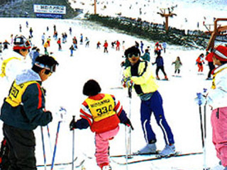 阳智松林滑雪场