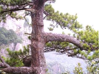 天河生态风景区