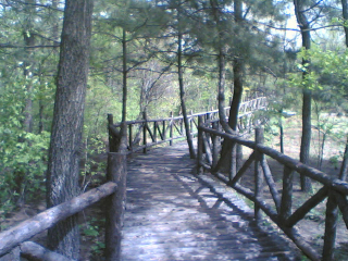 天下第一木栈道