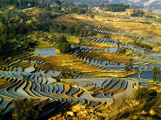 坝达梯田