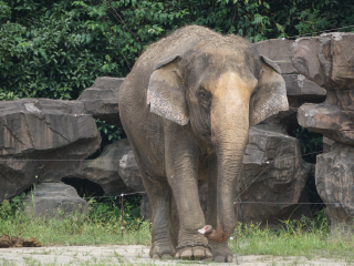 杭州野生动物世界