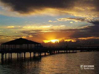 袋鼠岛