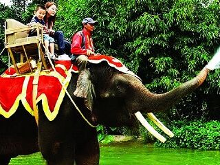 香江野生动物世界