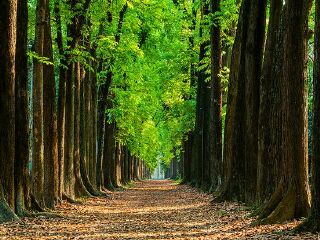茂林风景区