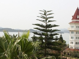 香港迪斯尼乐园酒店