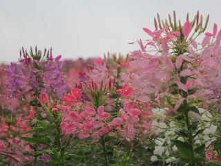 成都石象湖景区