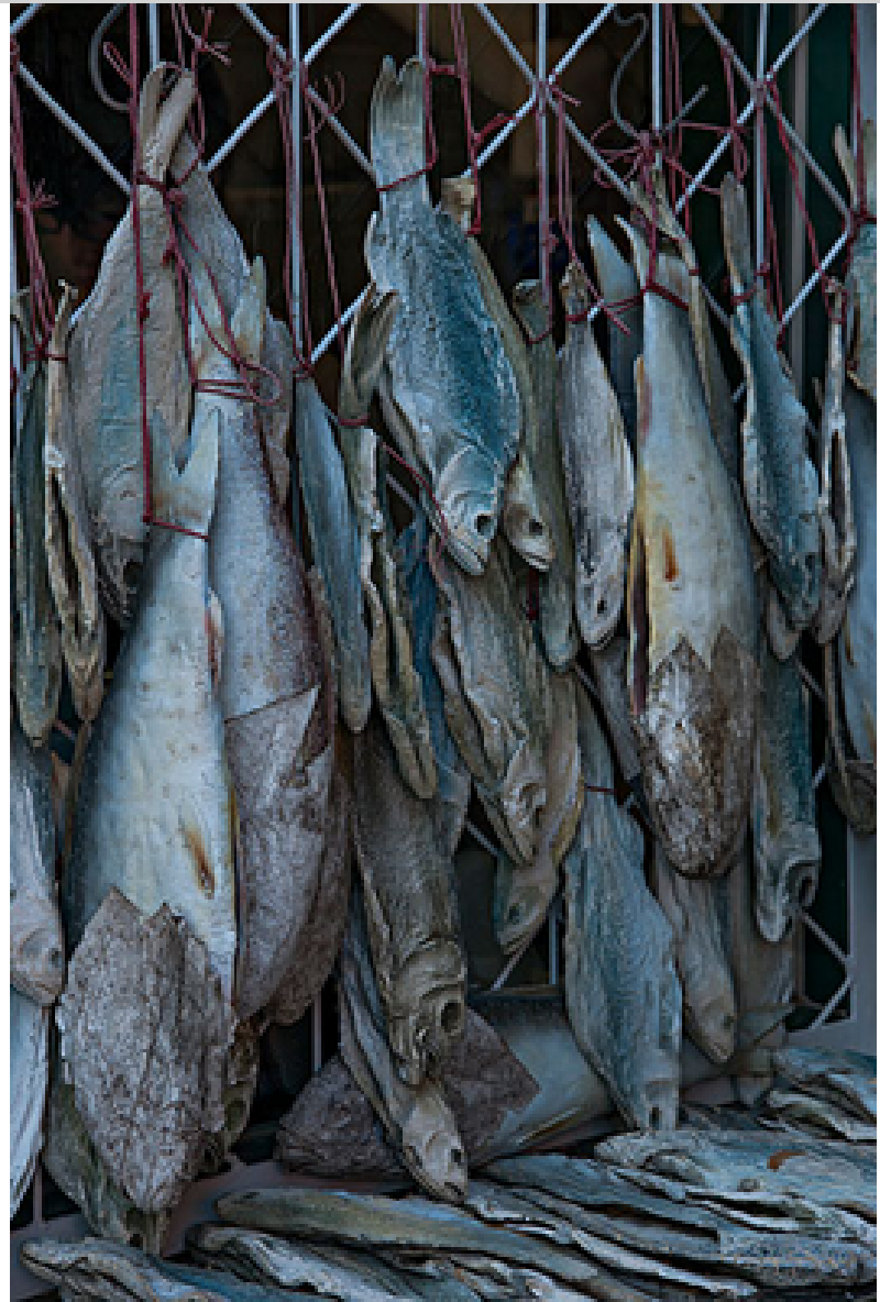 菲希克咸鱼poorhikersaltedfish