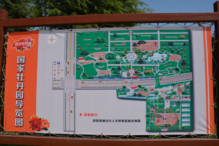 【河南洛阳三日游】day1:千年帝都,牡丹花城--国家牡丹园