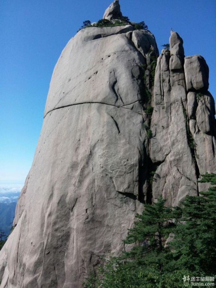 黄山奇石孔雀望天图片