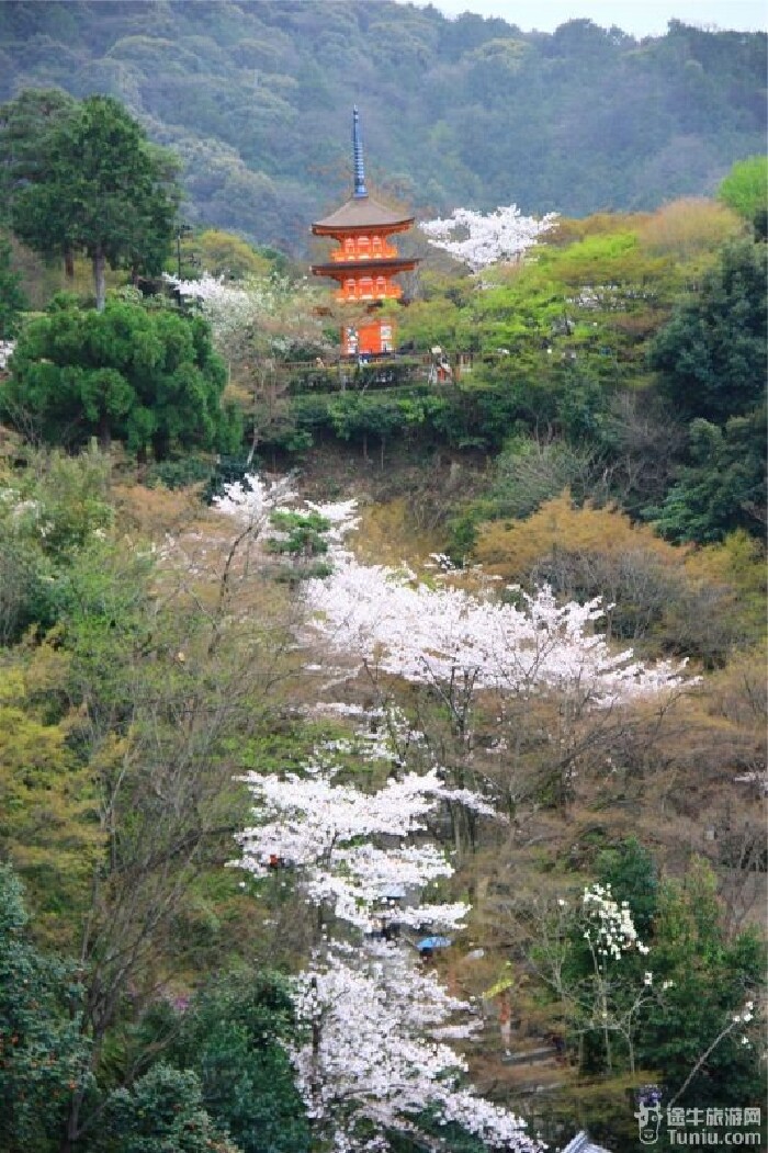 【日本】传承于中国佛教的清水寺(超详细攻略 超百张.