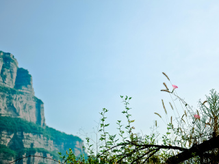 老顶山国家森林公园