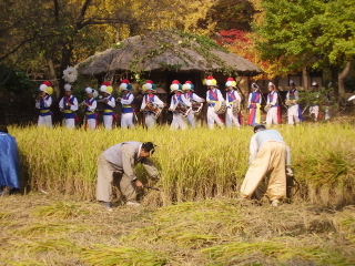 韩国京畿道民俗村