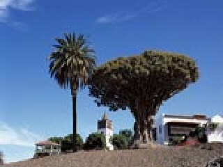 潘诺恩哈尔姆千年修道院