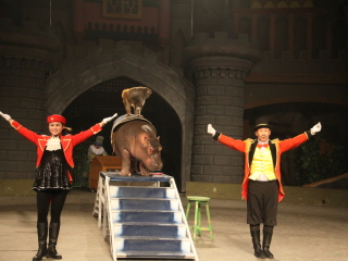 常州淹城野生动物园