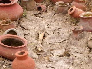 城头山古文化遗址