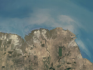 黄河口生态旅游区