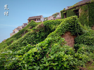 舟山荒村