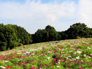 成都石象湖景区