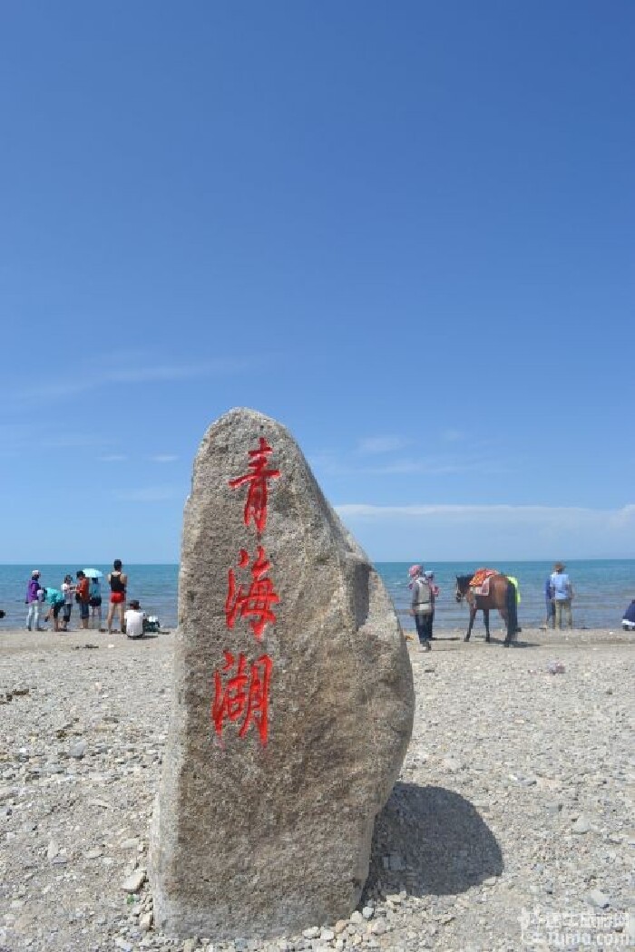 青海旅游攻略青甘8日古丝绸之旅大美青海湖②