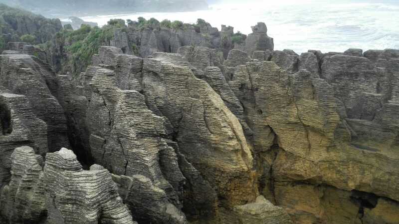 进入千层饼岩景区的寒带雨林,沿着曲奇小路