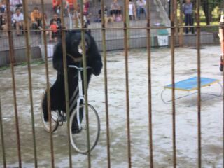 厦门海沧野生动物园