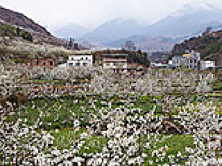 汉源县
