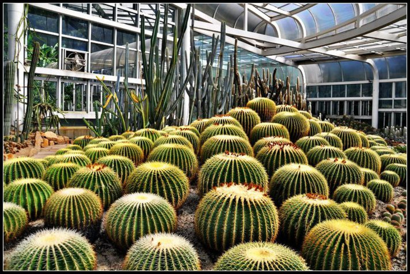 閩贛行之萬石植物園