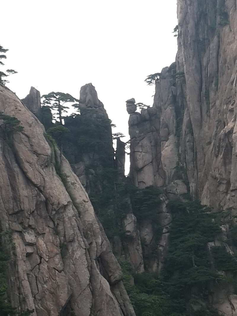 黑虎松 黃山風景到達黃山的第一天